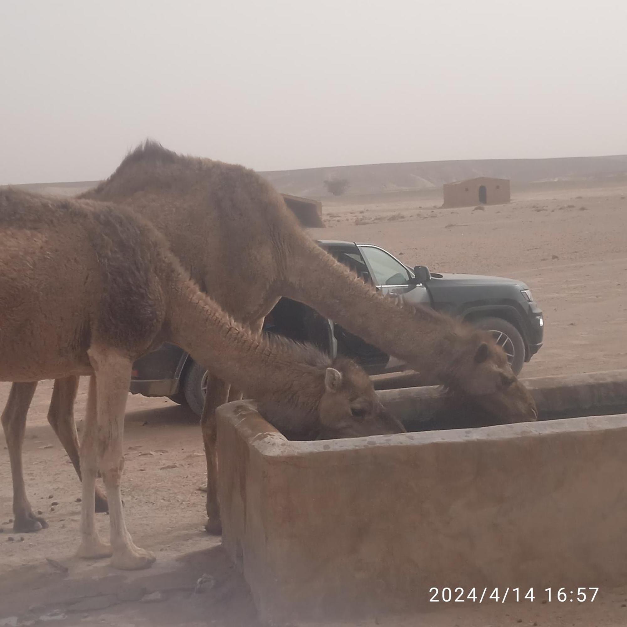Hotel Chegaga Berber Camps M'Hamid El Ghizlane Exterior foto